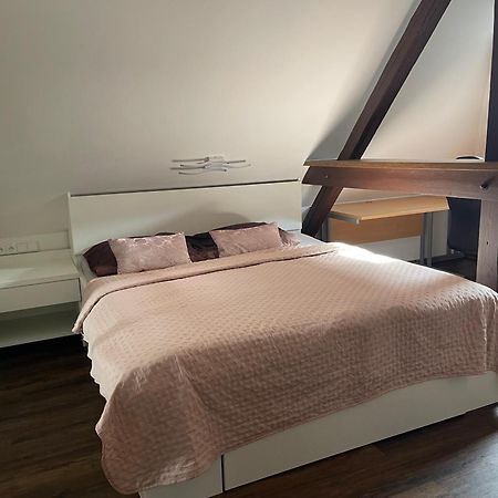 Jenys Apartment Usti 2 Ústí nad Labem المظهر الخارجي الصورة
