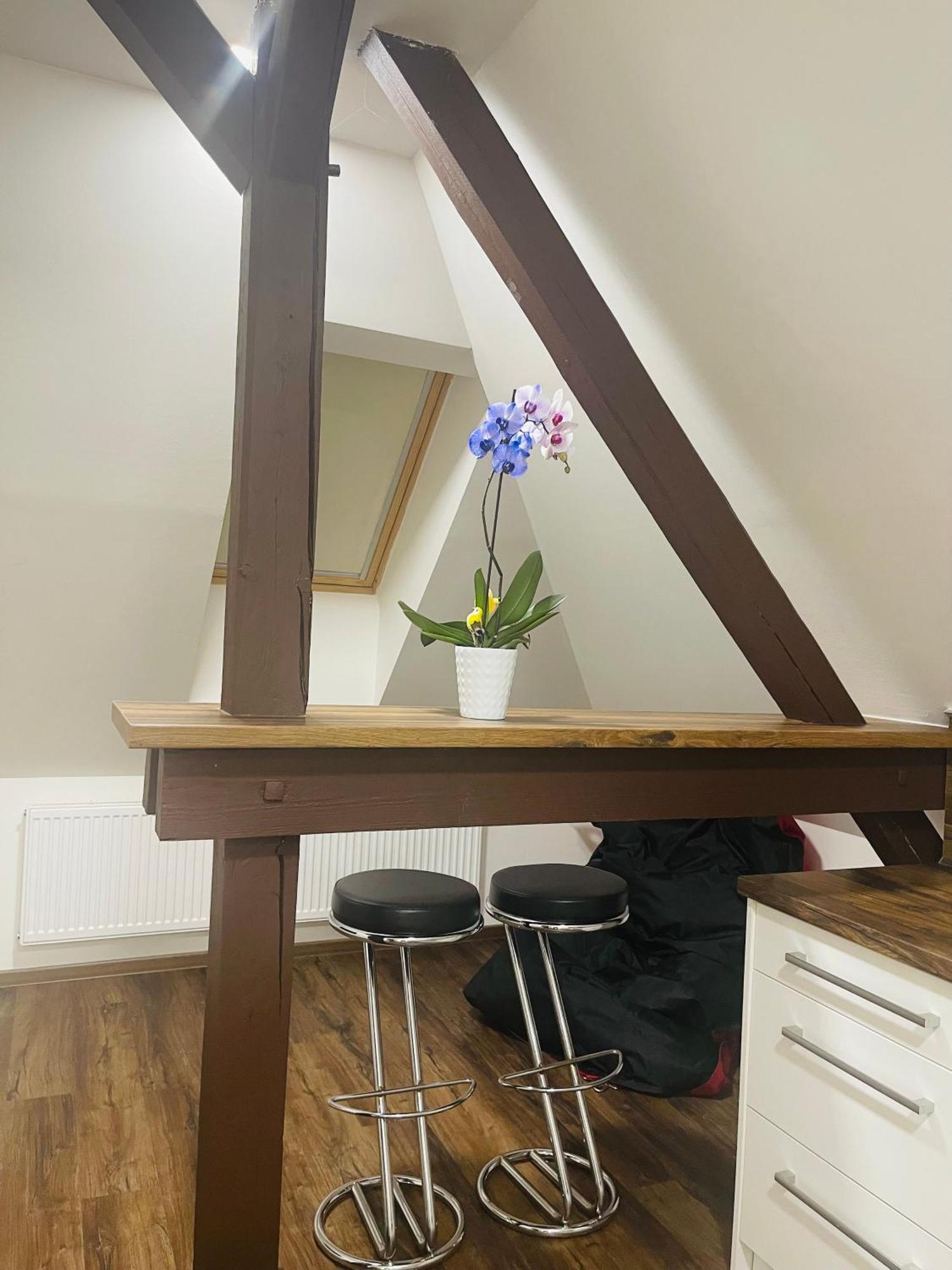 Jenys Apartment Usti 2 Ústí nad Labem المظهر الخارجي الصورة